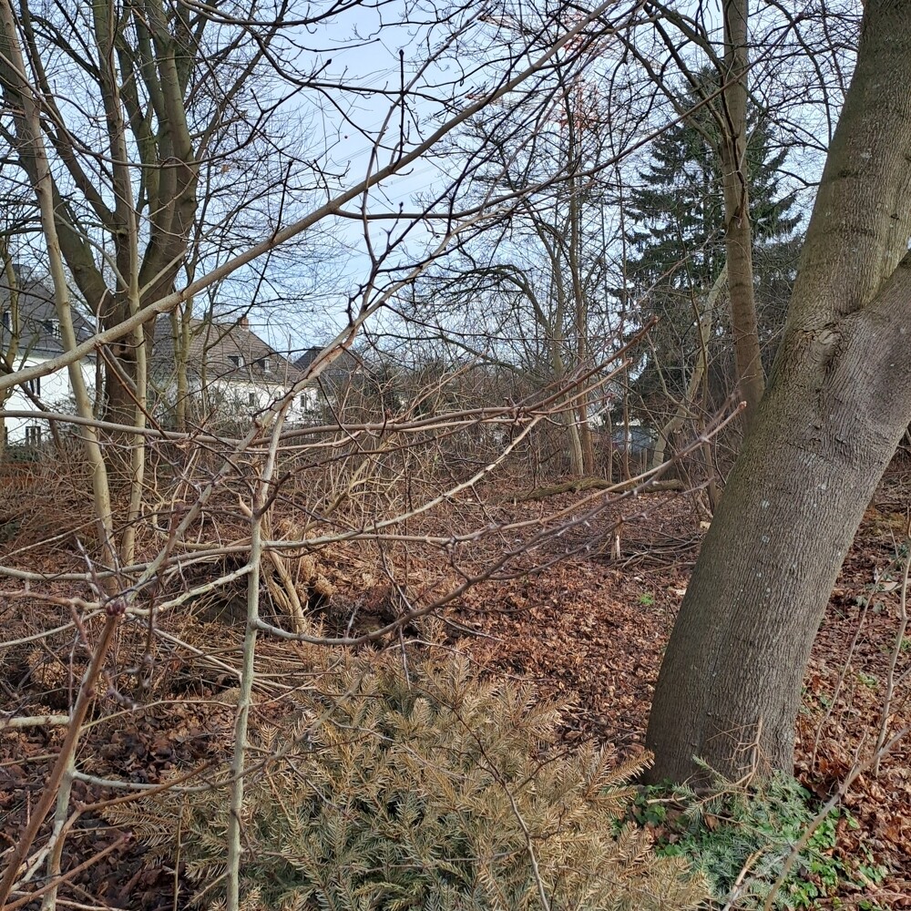 Blick zur Rückseite des Grundstücks