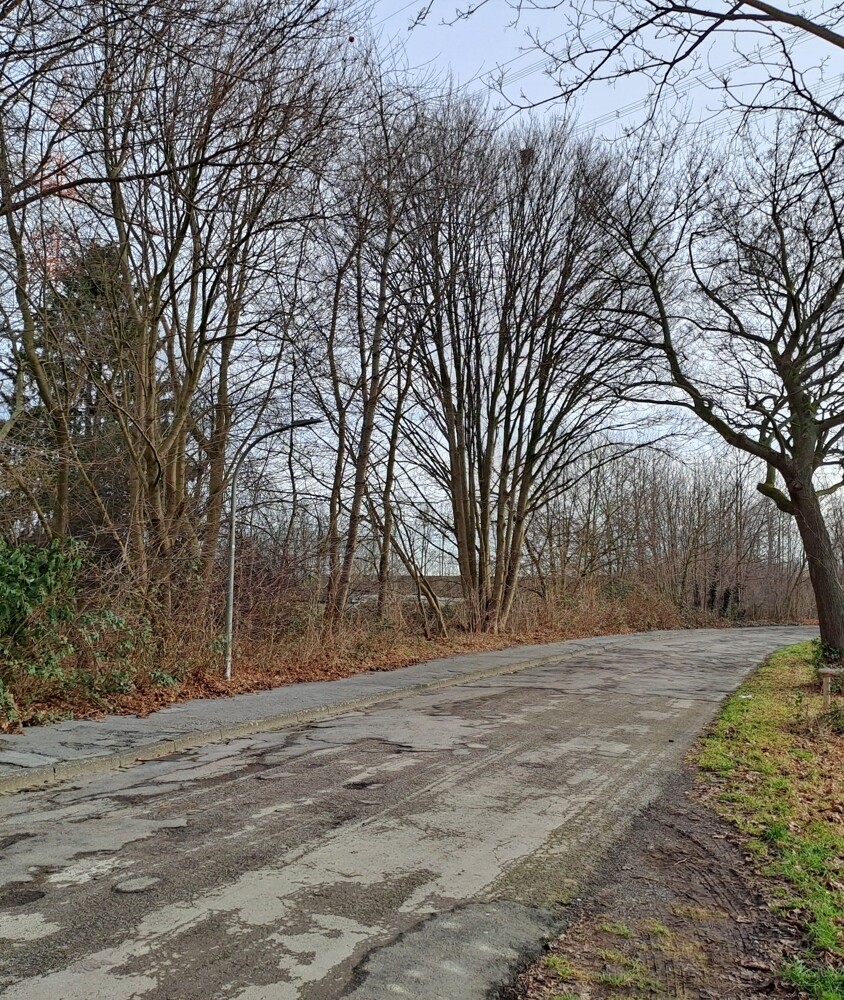 Grundstück links der Straße
