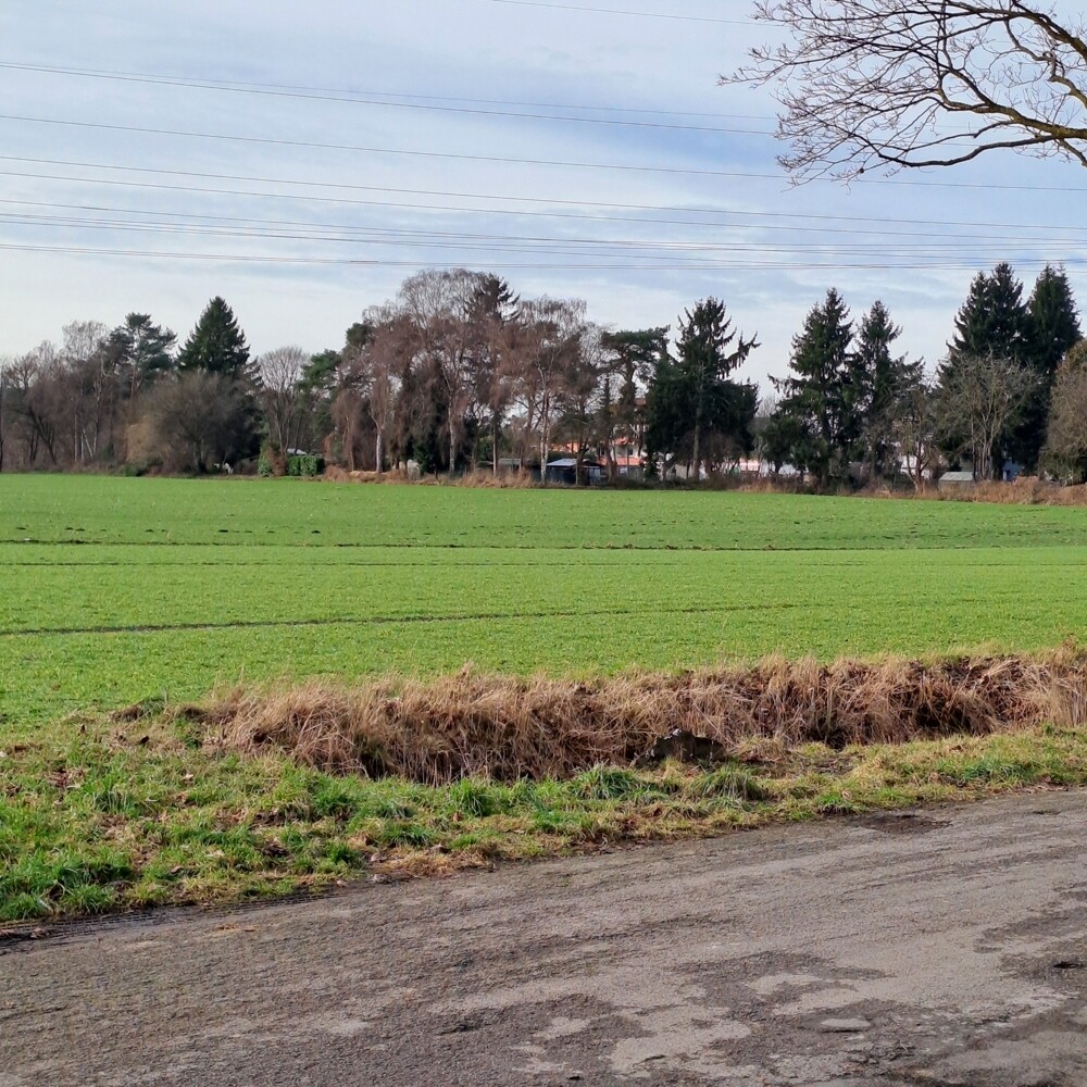 Aussicht von dem Grundstück