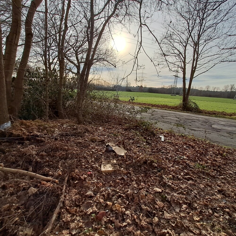 Blick von dem Grundstück