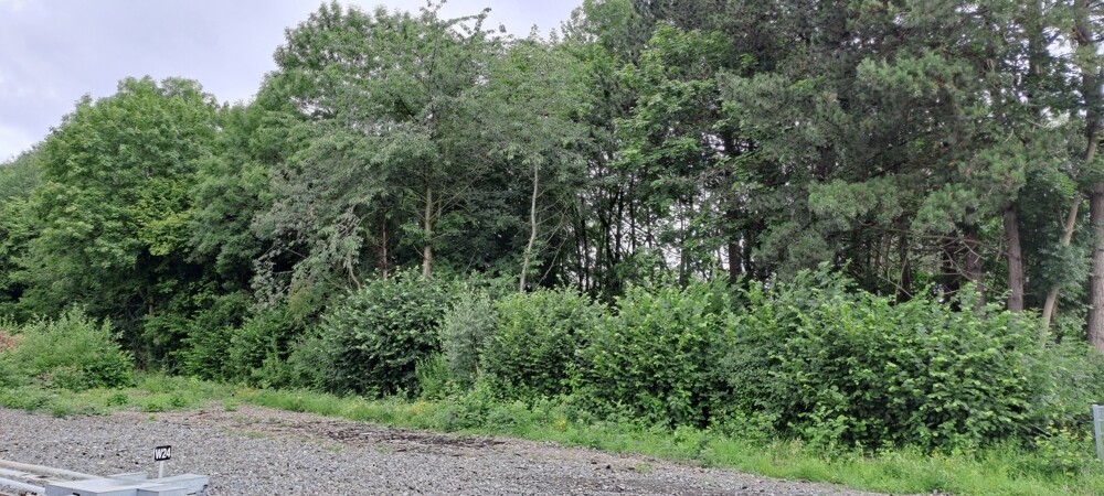 Bahnseitig, Blick auf das Grundstück
