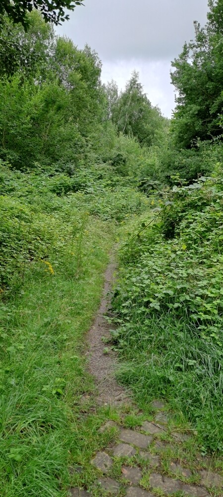 Grundstück, Bild 3