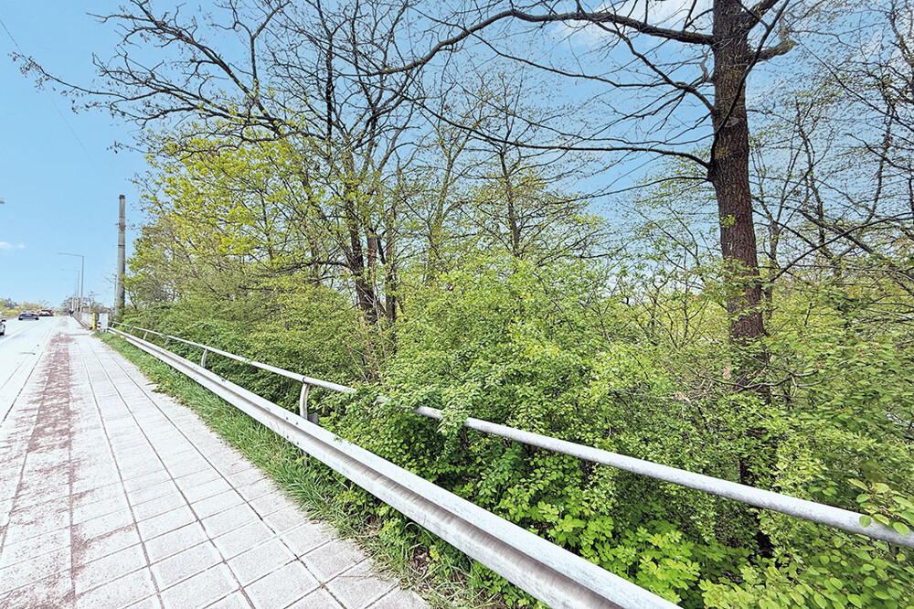 ID-2950 Nürnberg, Conradystraße (22)