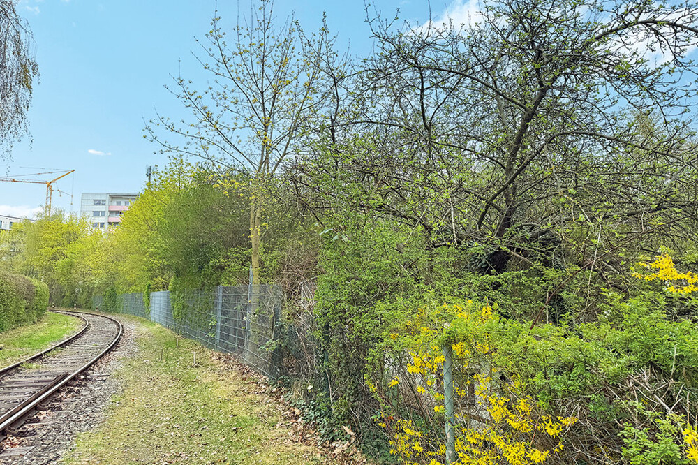 ID-2950 Nürnberg, Conradystraße (37)