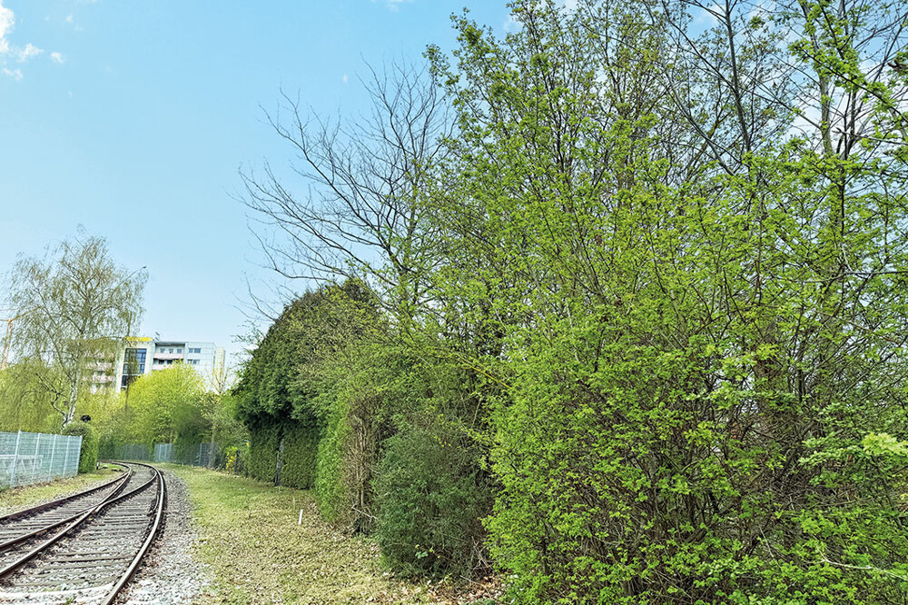 ID-2950 Nürnberg, Conradystraße (36)