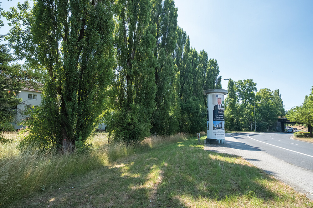 ID-3004 Bad Homburg, Hessenring (33)