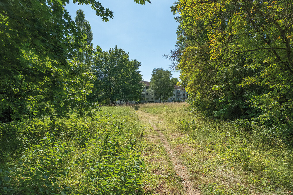 ID-3004 Bad Homburg, Hessenring (36)