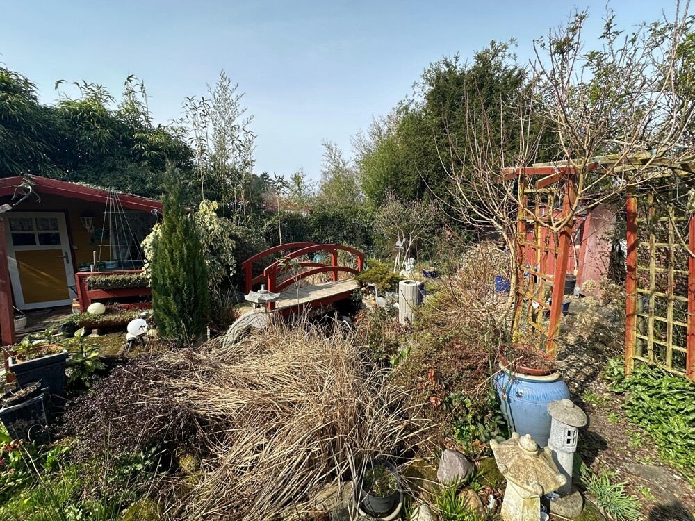 Garten (2)