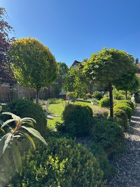 Rückansicht Garten