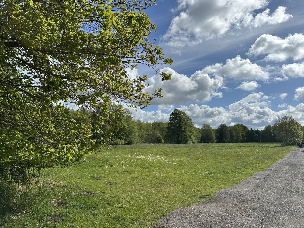 2. Wiesenansicht