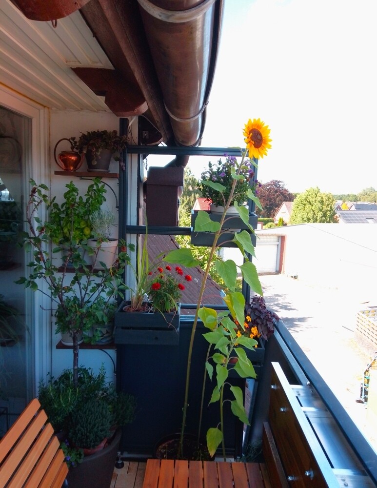 Balkon  