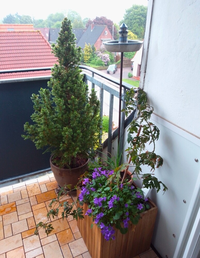 Balkon 