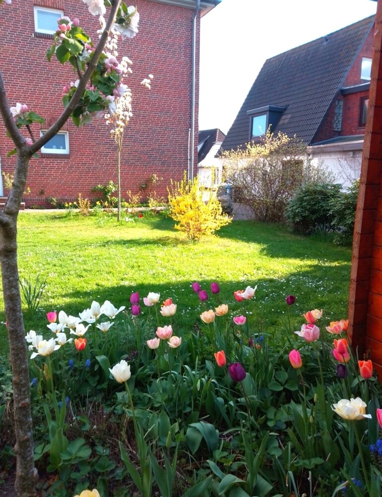 Gartenansicht    