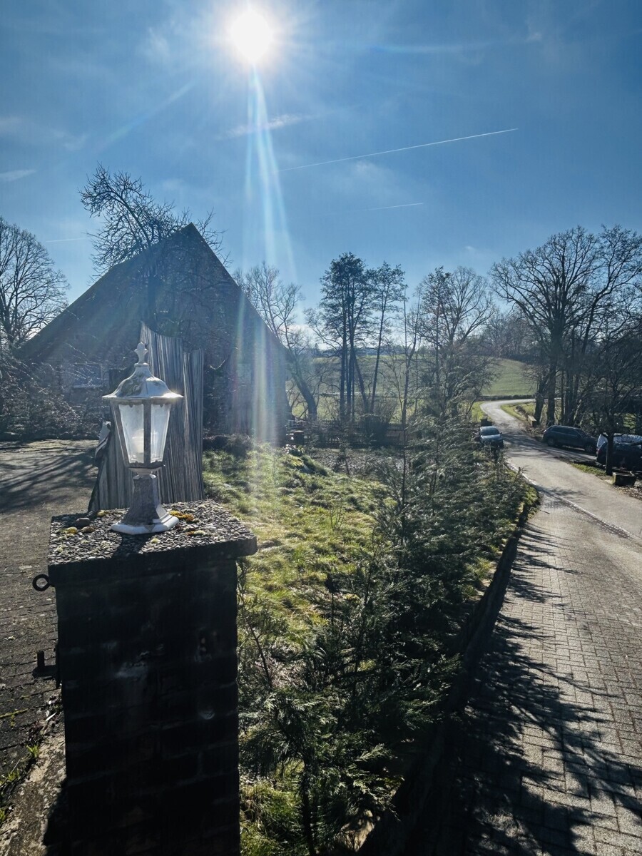 Vorgarten & Auffahrt