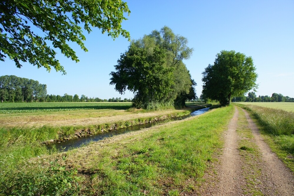 Erftauen