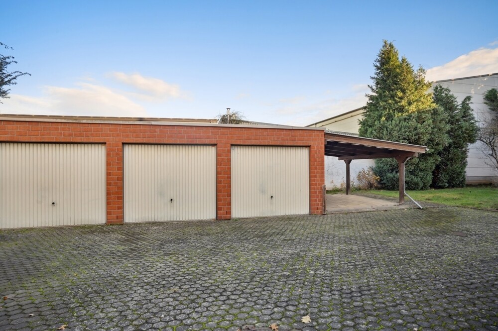 backbone_519799-A_007_WEB