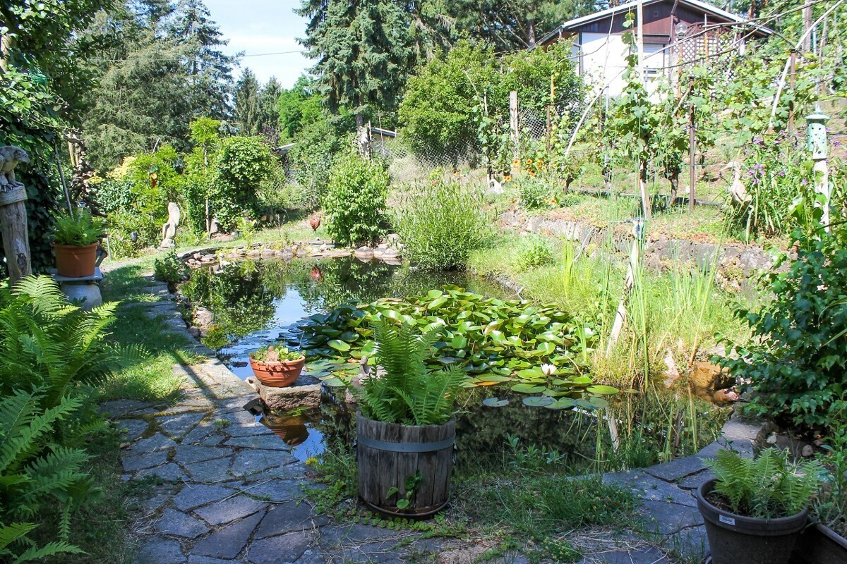 Immobilienbild