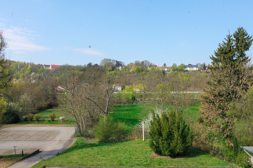 Elbblick