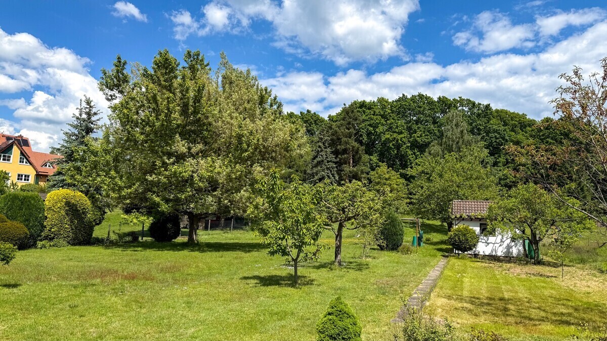 Blick in den Garten