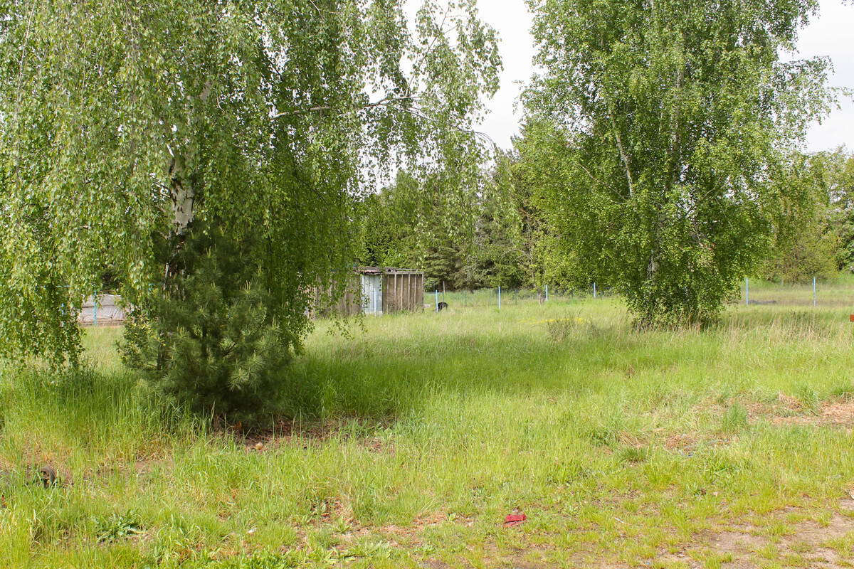 Immobilienbild