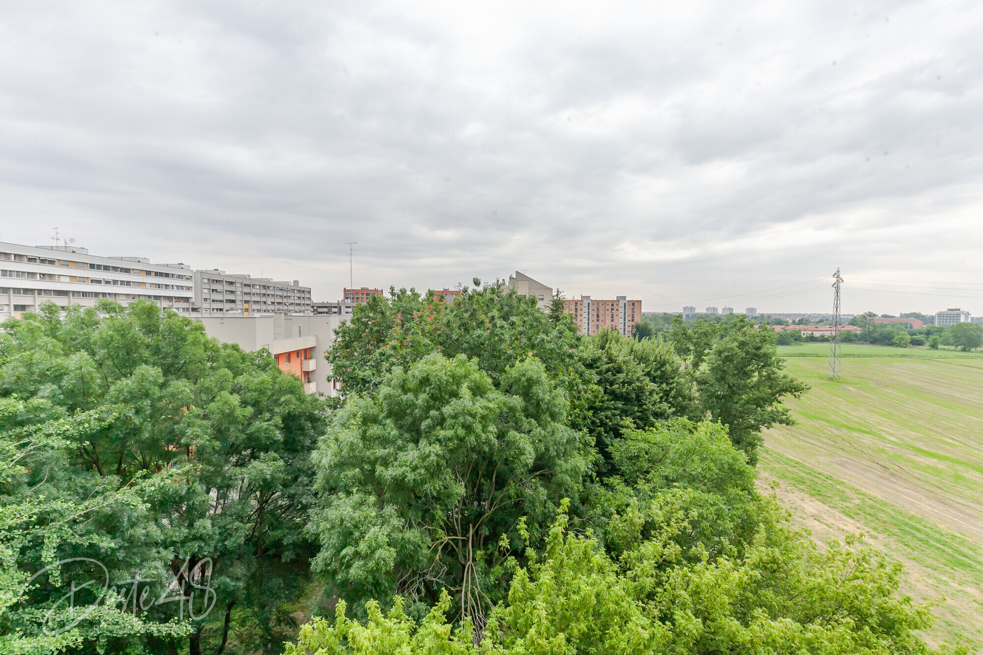 17-_MG_1749.jpg