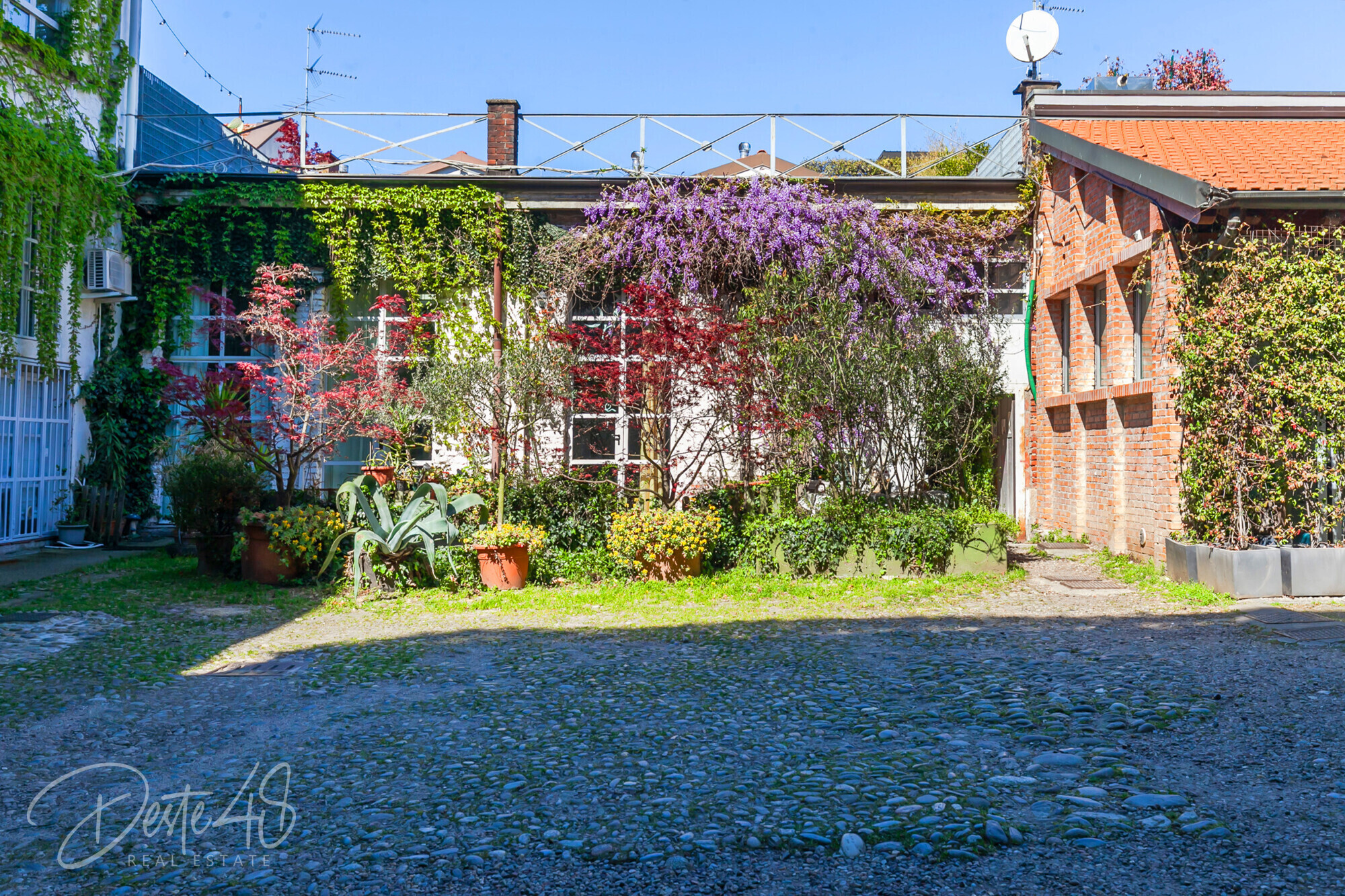 41-_MG_5395.jpg