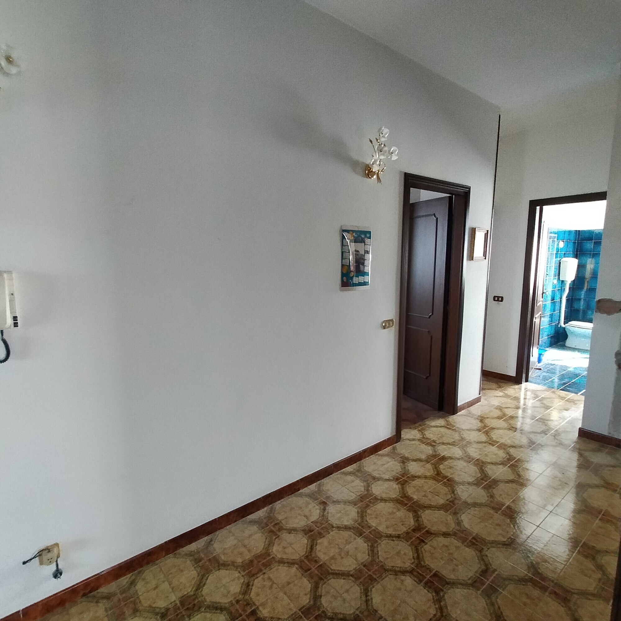 IMG20250502101312
