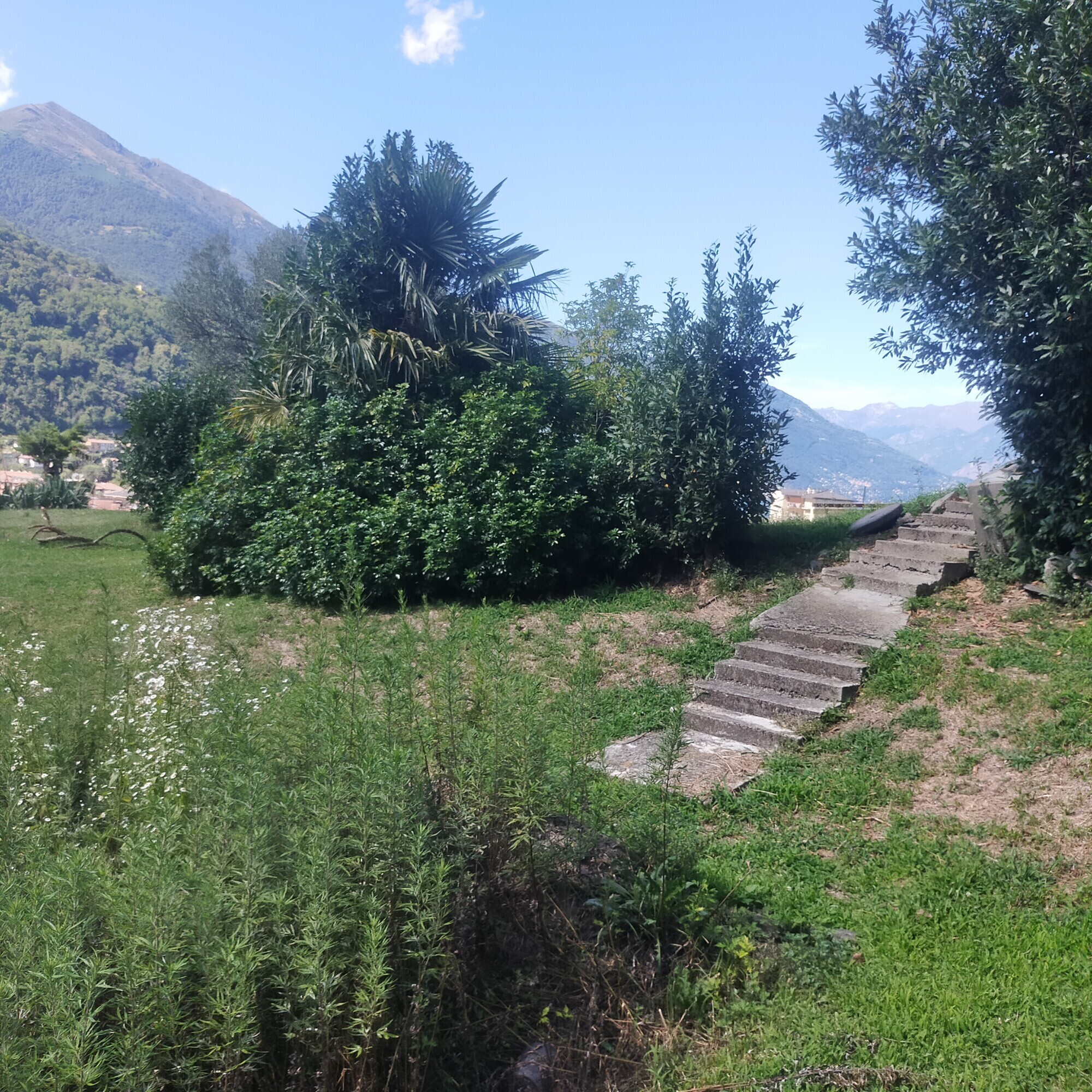 IMG20250717162243