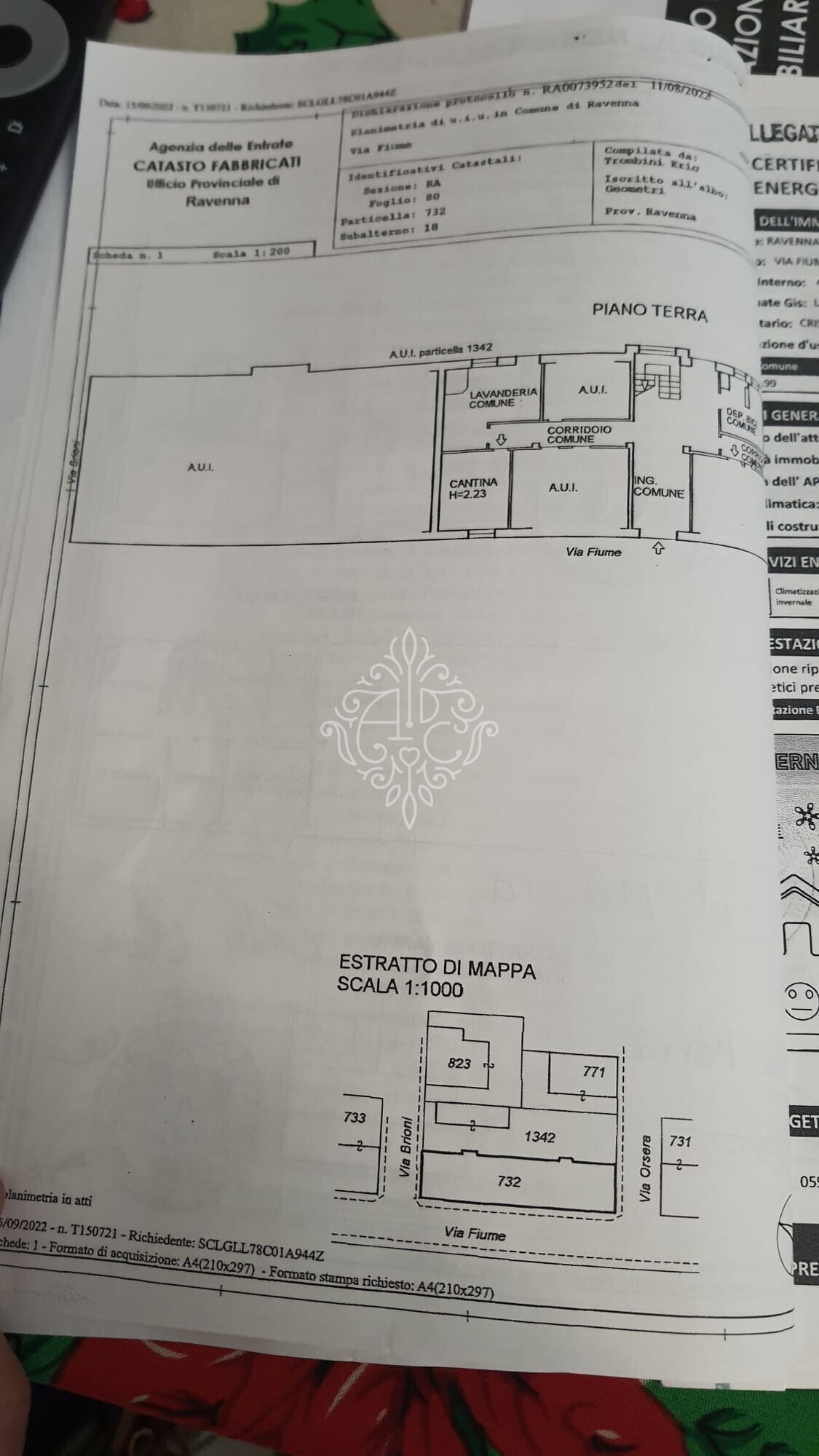 Planimetria Cantina