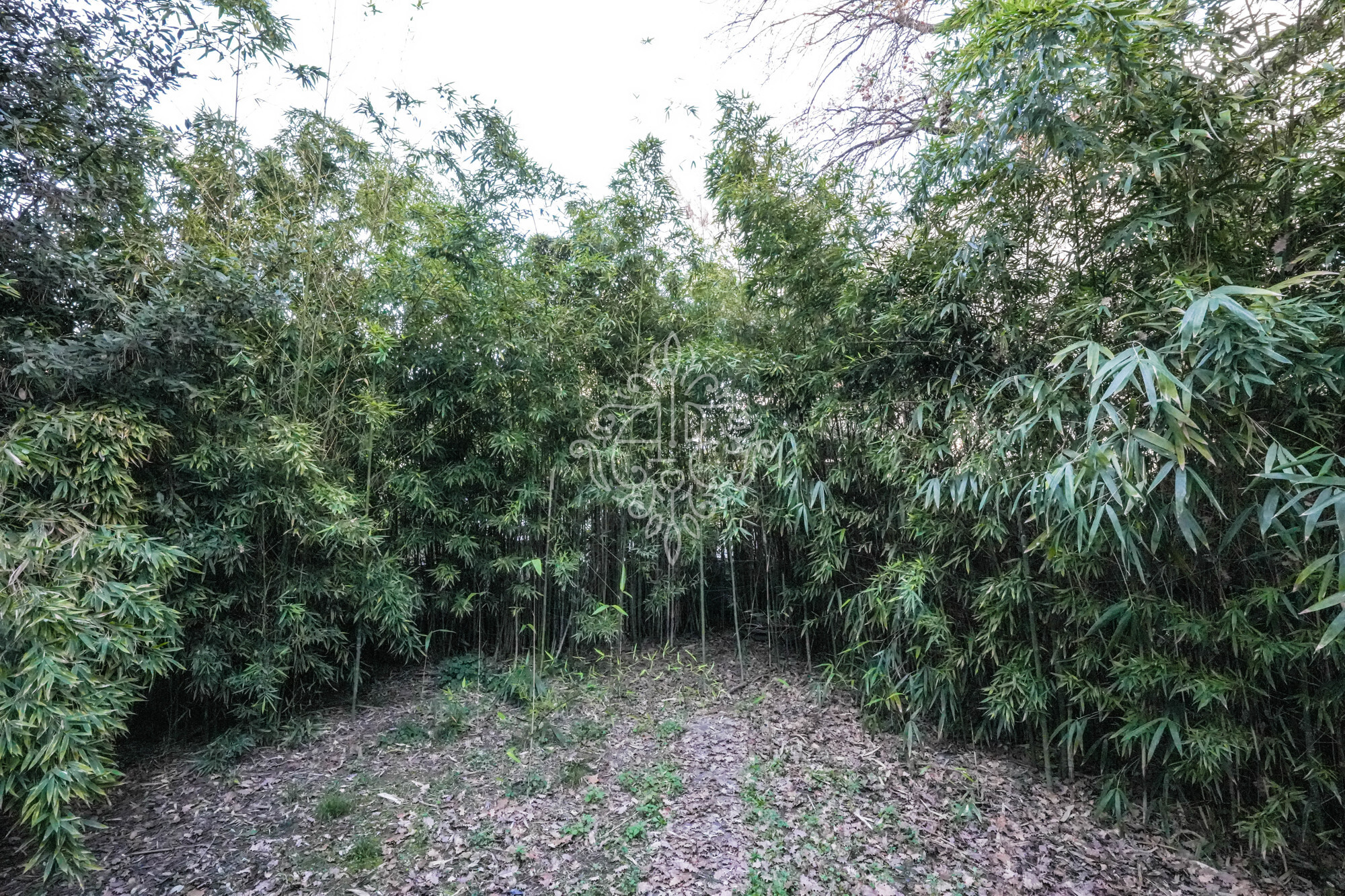 19_Via San Gaetanino 108 Ravenna