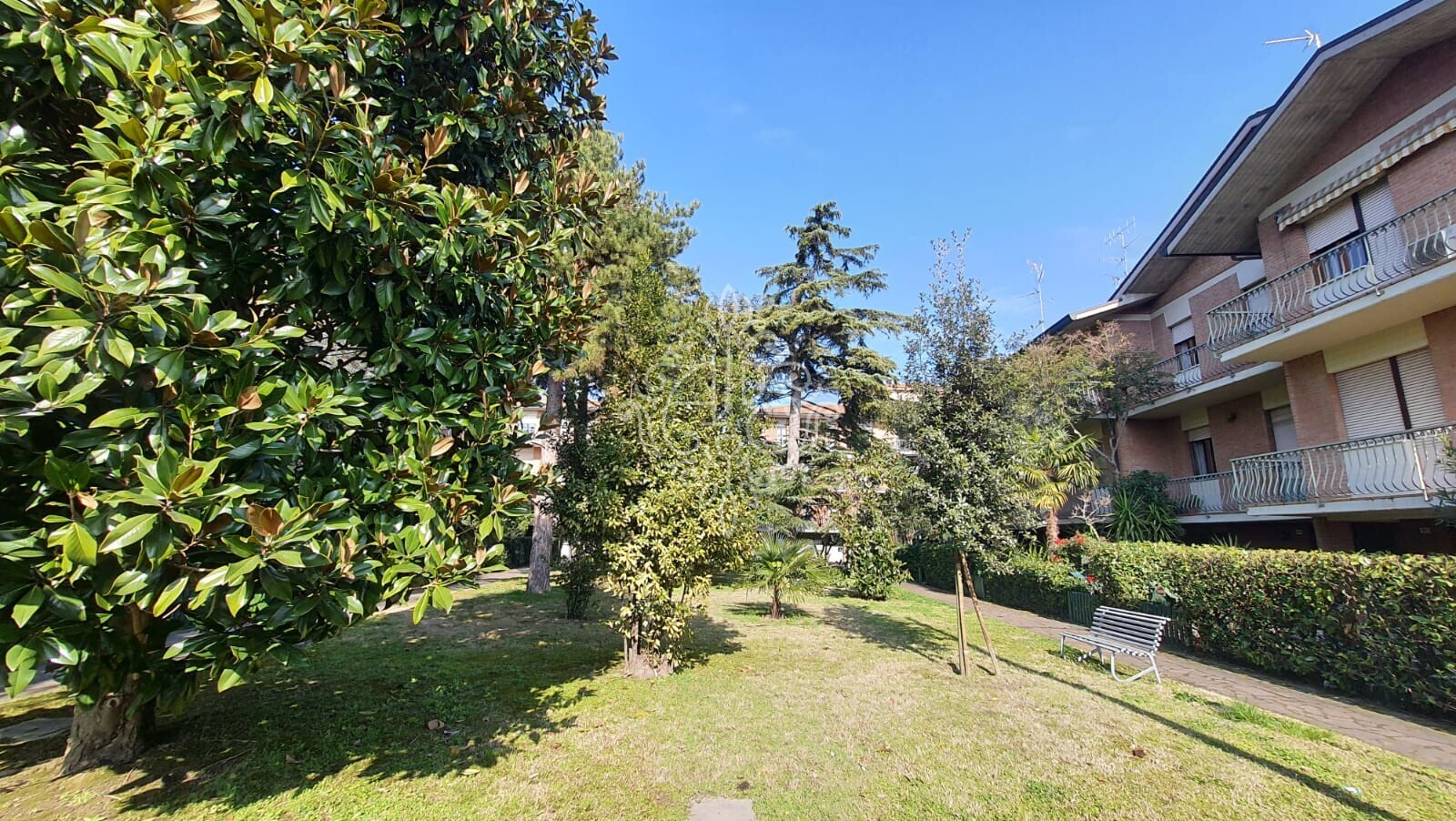 Giardino