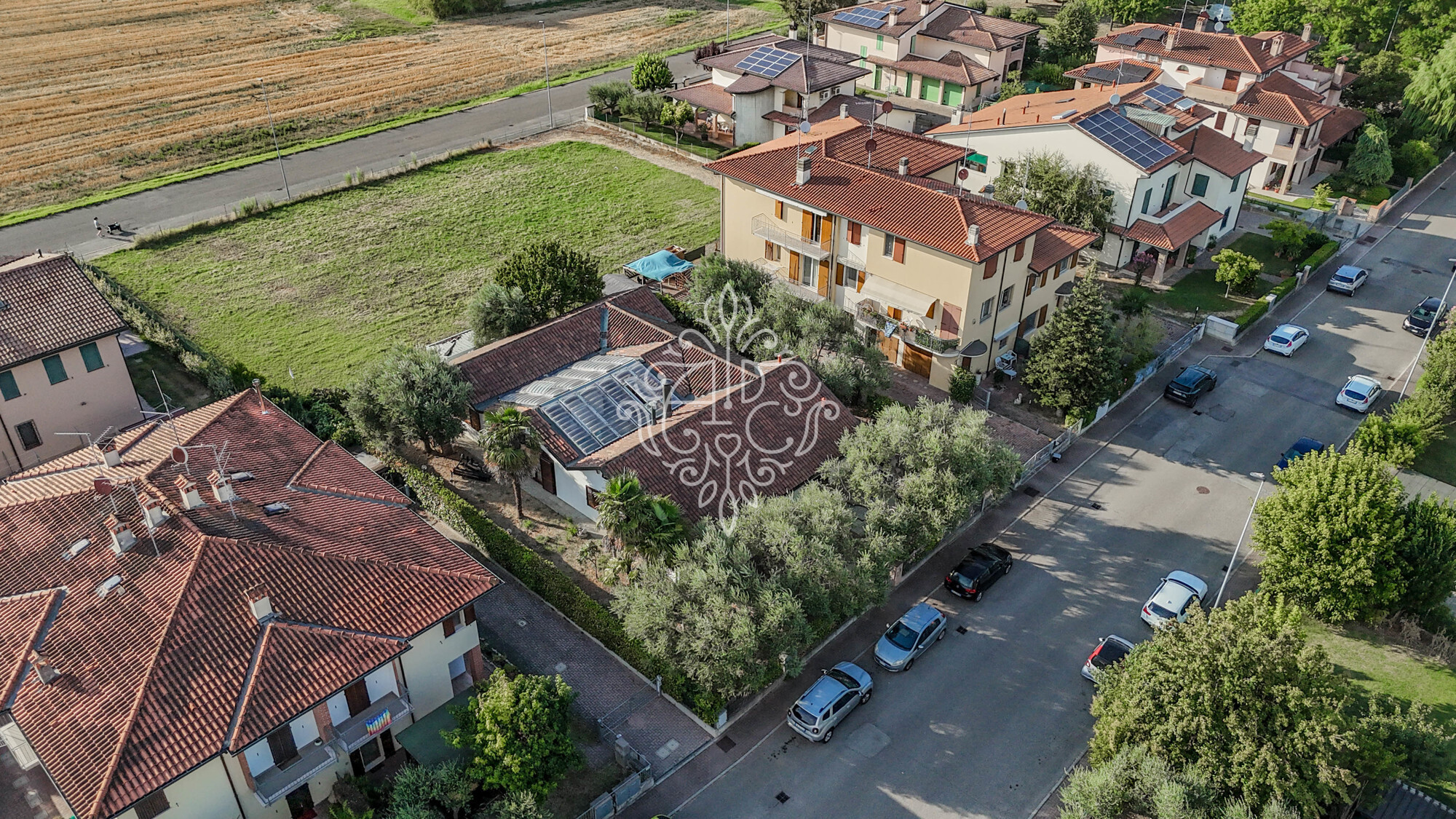 Cotignola