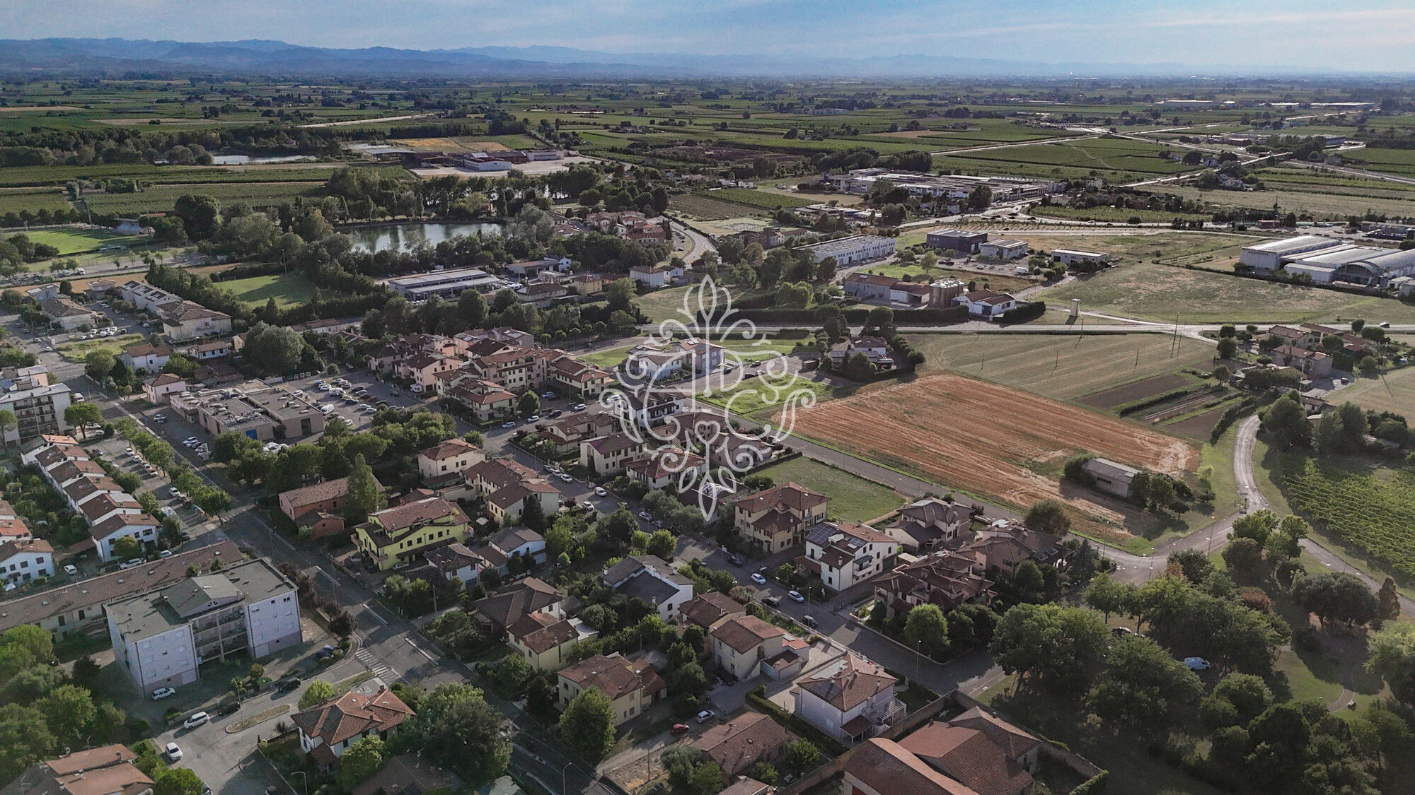 Cotignola