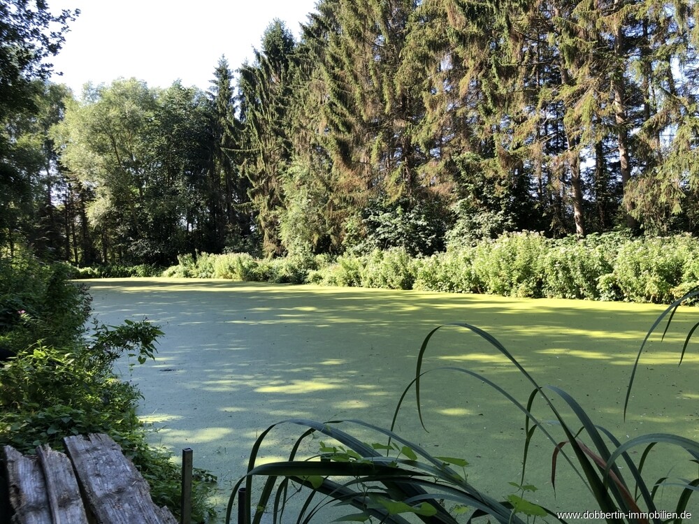 großer Teich 