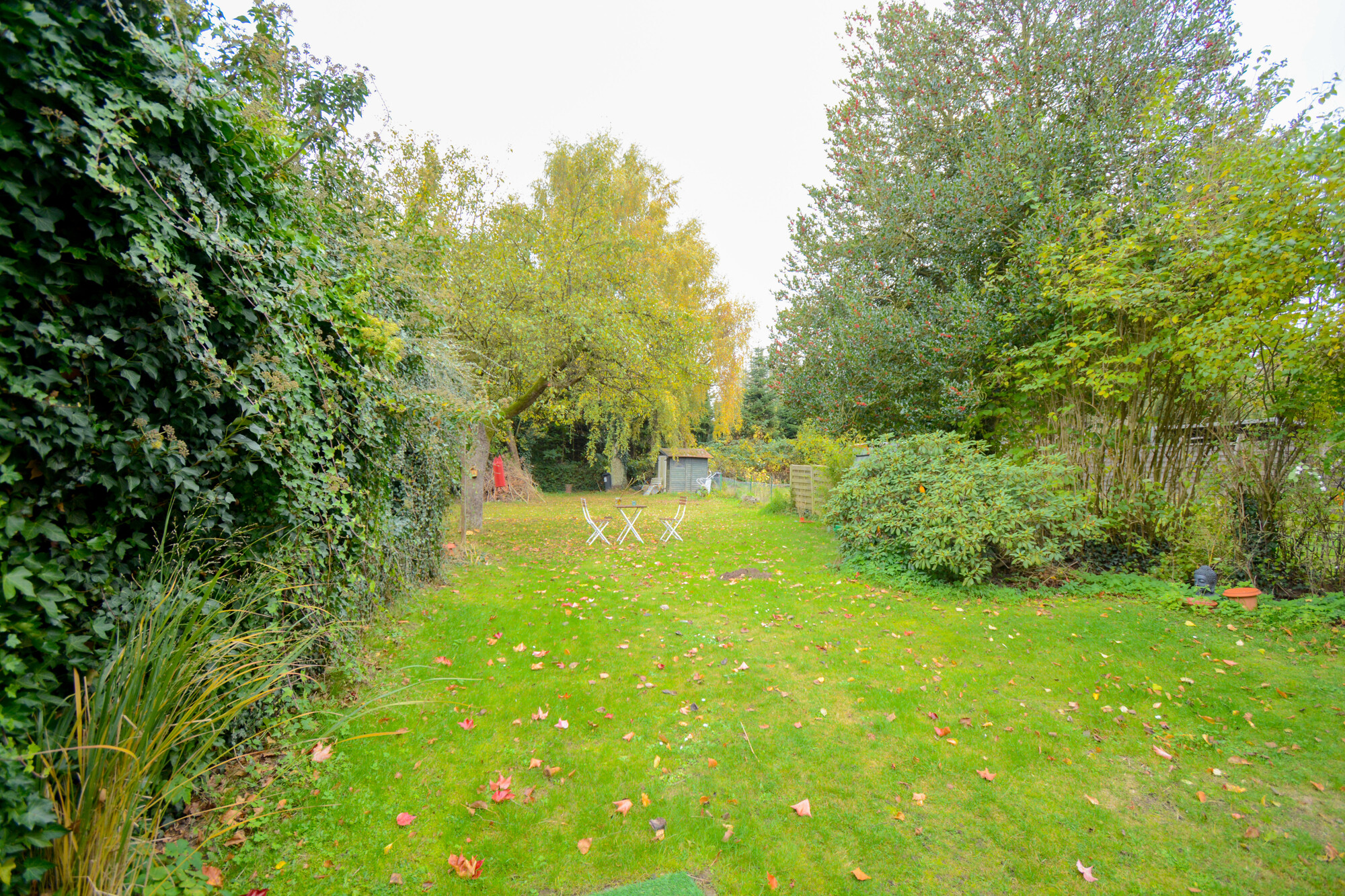 Blick in den Garten