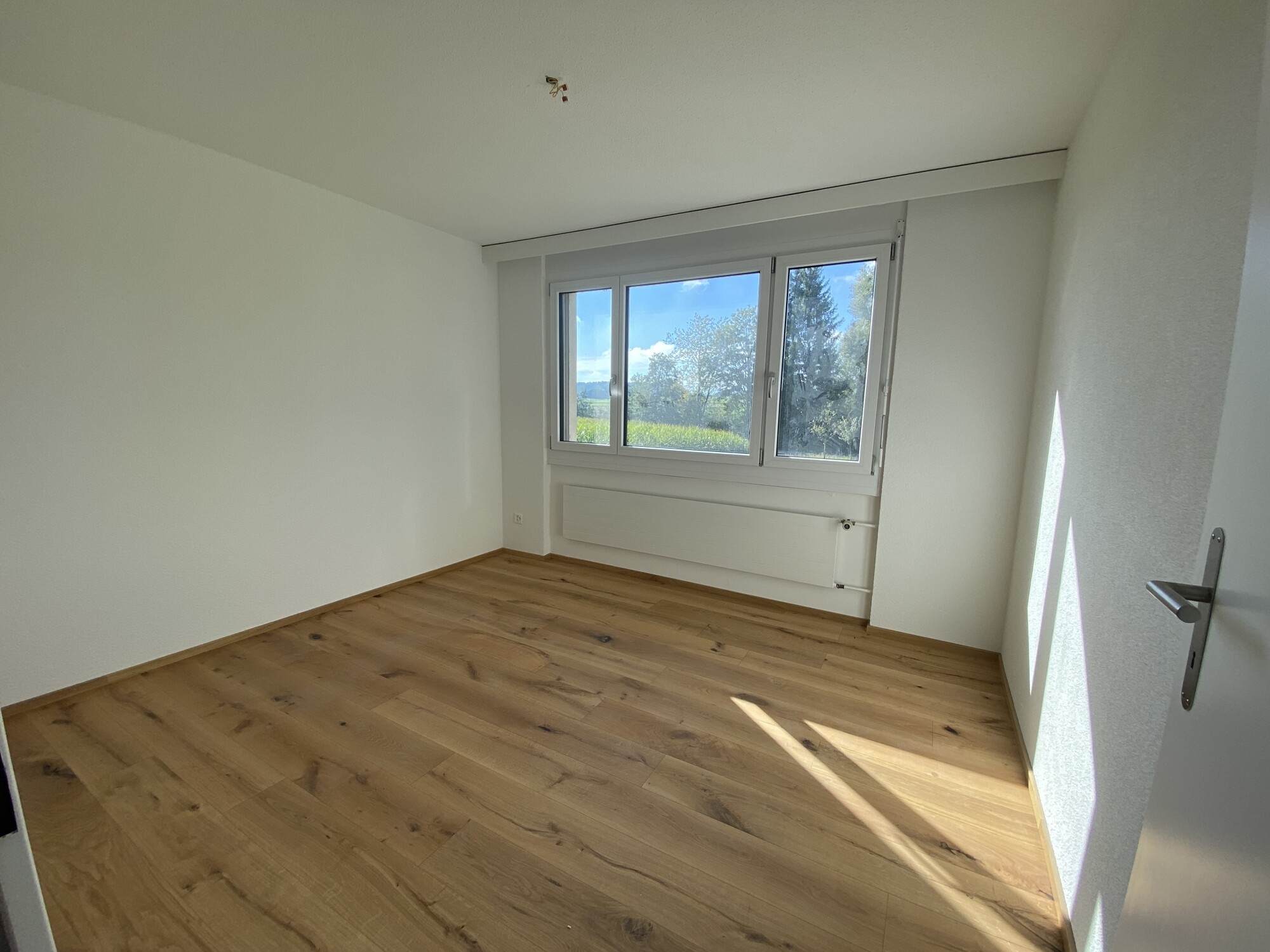 Zimmer EG