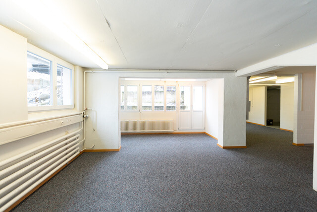Büro UG mit guter Belichtung