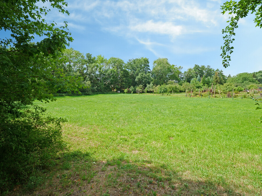 Wiese gegenüber