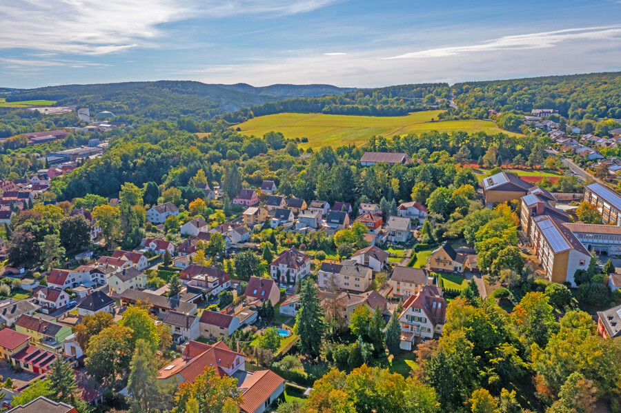 Nachbar Pfälzerwald