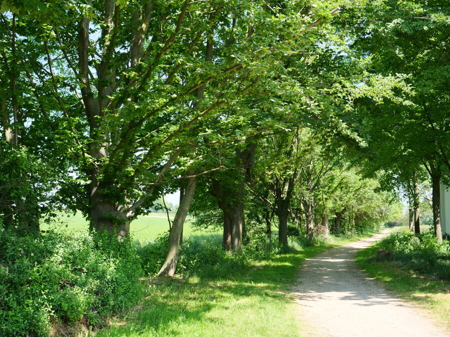 Rad- und Wanderweg in unmittelbarer Nähe
