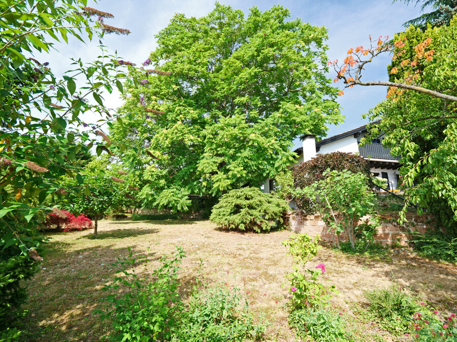im östlichen Garten