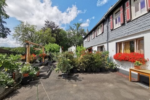 Immobilienbild