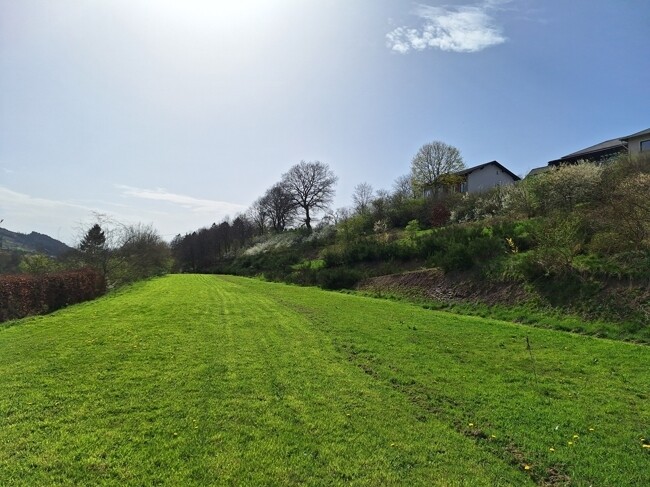 Weidefläche