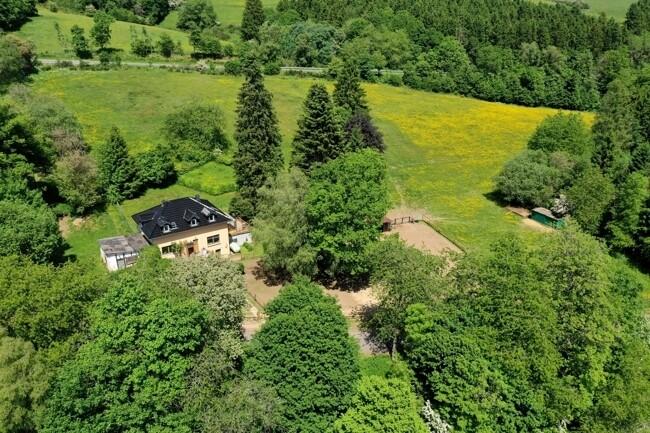 Ansicht Haus + Grundstück