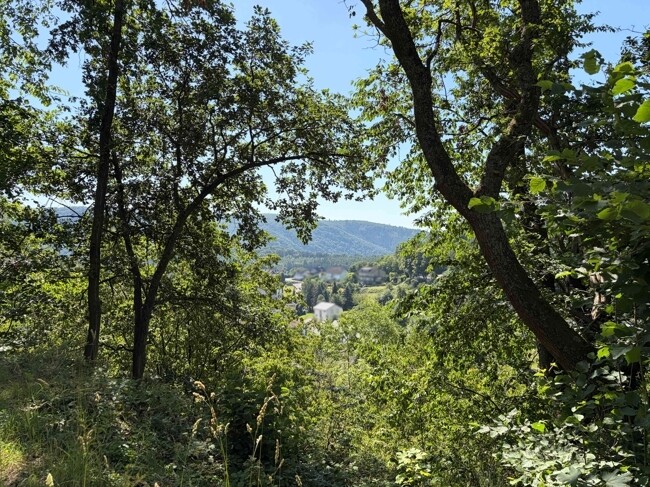Aussicht
