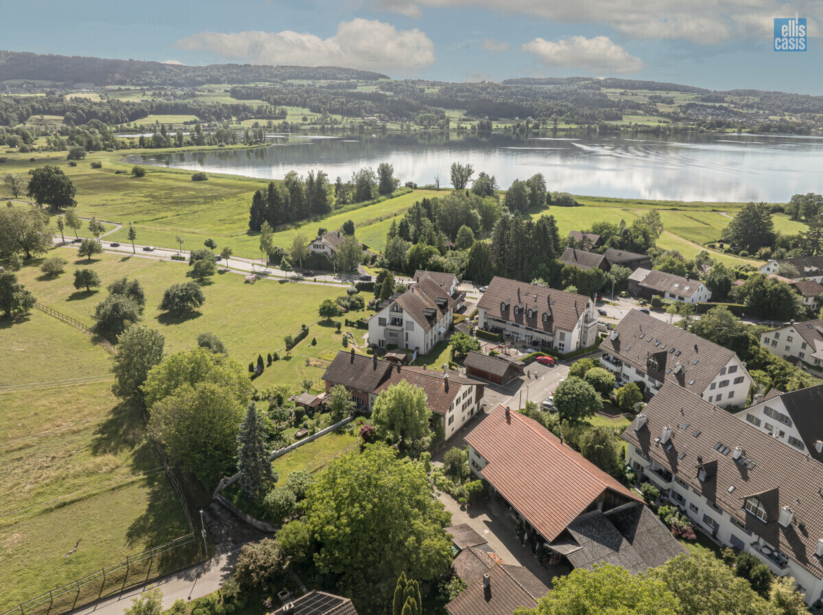EFH_Berglistrasse_8_Riedikon_Aussicht_nach_süden