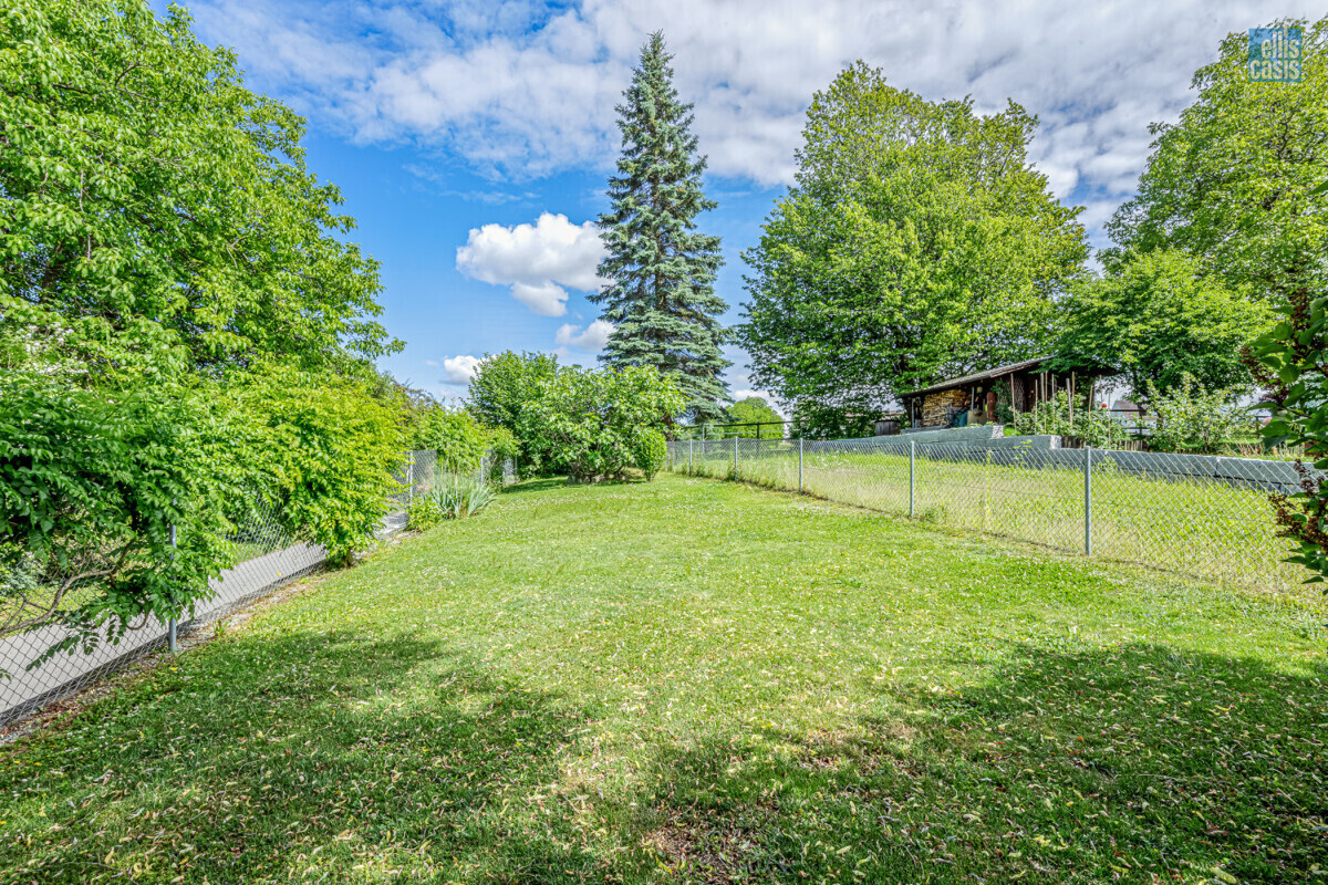 EFH_Berglistrasse_8_Riedikon_Garten_Ost