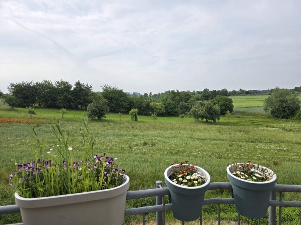 Ausblick