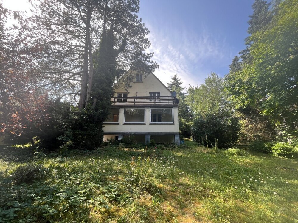 Außenansicht Hinterseite mit Garten