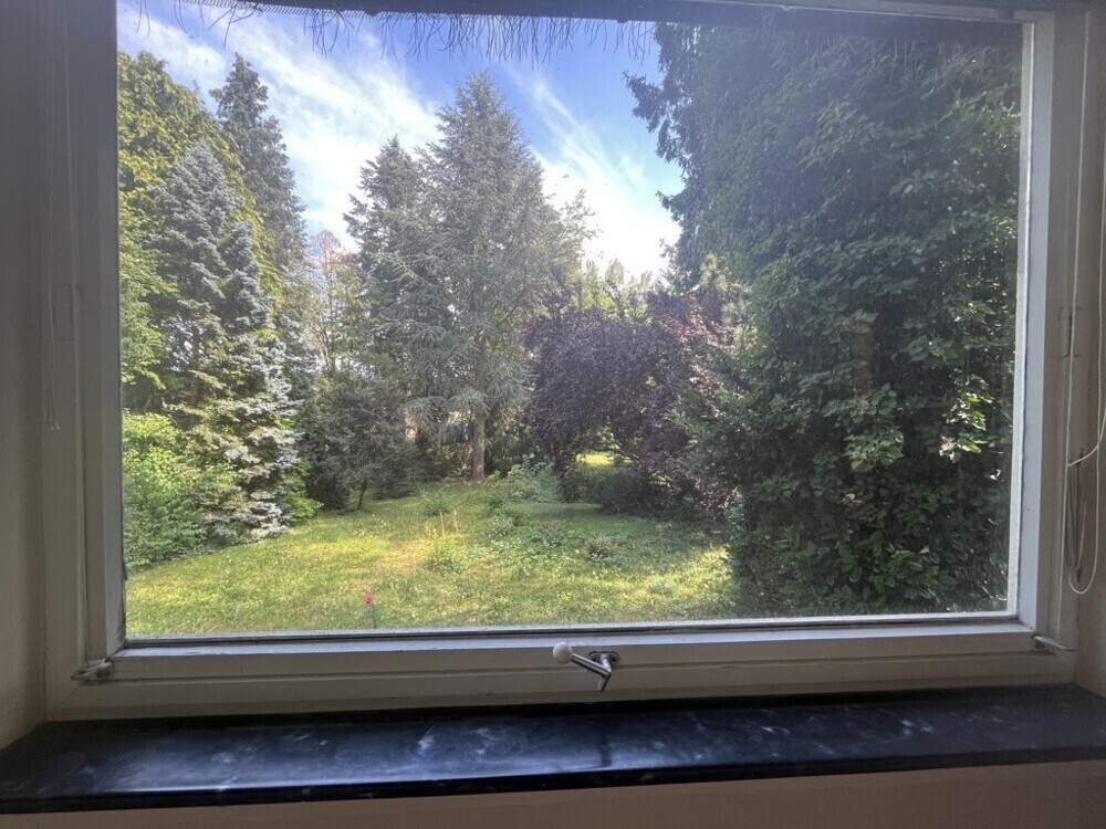 Aussicht Garten vom Wintergarten